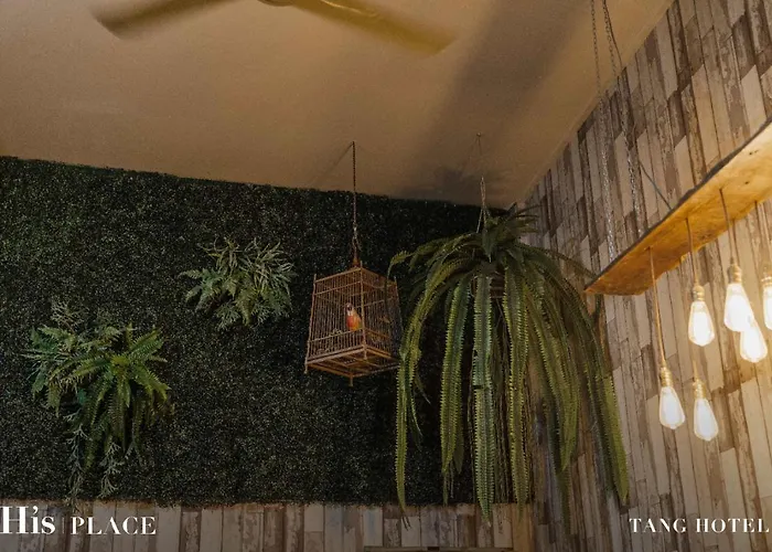 Tang House *